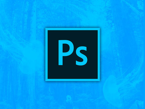 The Complete Adobe Photoshop Elements 2019 Course